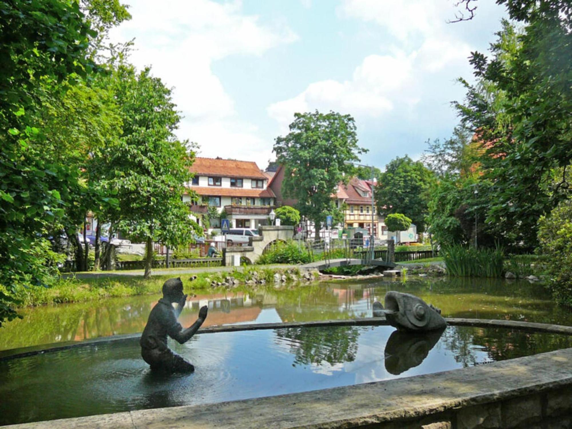 Apartment Jagdschloesschen, Bad Sachsa Exteriör bild